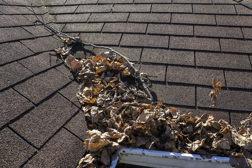  leaves and sticks piling up in a valley of a roof